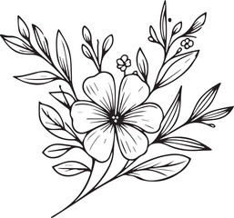 Madagascar periwinkle drawing,  Flowers branch of Periwinkle flower Hand drawing  vector illustration Vintage design elements bouquet Periwinkle natural collection, Easy flower coloring pages


