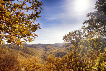 Fototapeta premium autumn in the mountains