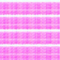 pink stripe pattern