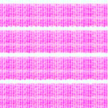 pink stripe pattern