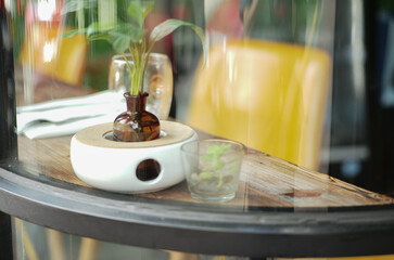 glass of plant on table