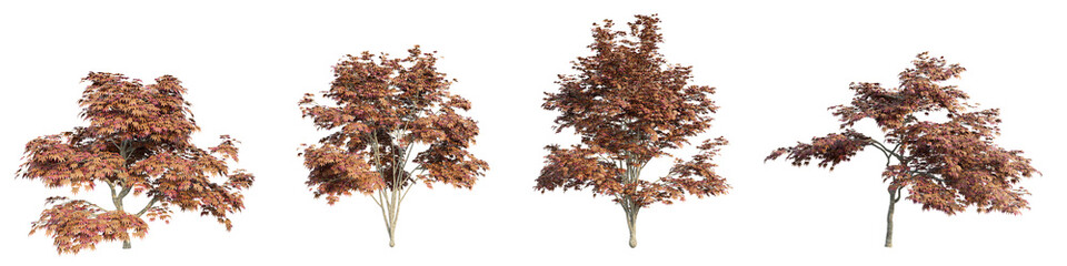 3D rendering of trees on transparent background, for illustration, digital composition, and architecture visualization