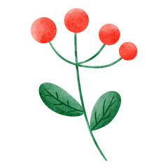 Cute mistletoe berries watercolor hand drawn cartoon