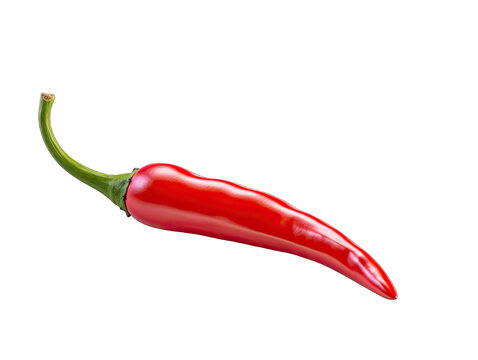 Isolated Red Hot Chili Peper on transparent background png