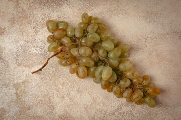 a branch of white grapes, wine grapes, Georgian grape variety Rkatsiteli, top view,