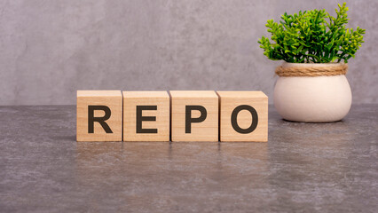 REPO concept on wooden cubes and flower in a pot in the background