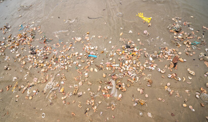 Eco Crisis Unveiled: Vietnam's Seashore S.O.S - A Call to Preserve Our Seas.