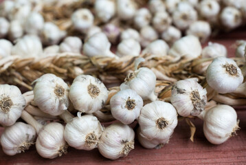 Garlic wreaths. Rich harvest.
