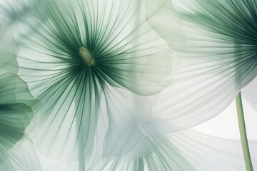 Fresh, delicate, ethereal tropical leaves background with a mist effect, translucent rainforest greenery design