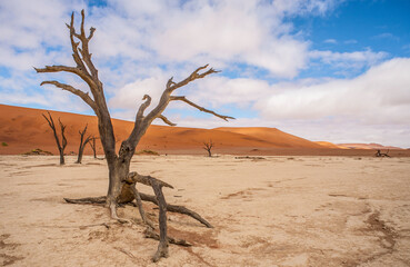 Sossuvlei