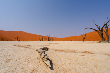 Sossusvlei