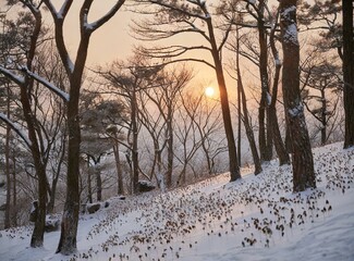 Snowy forest in winter at golden sunset. Colorful landscape with pine trees in snow, orange sky in evening. Snowfall in woods. Wintry woodland. Snow covered mountain forest at dusk.