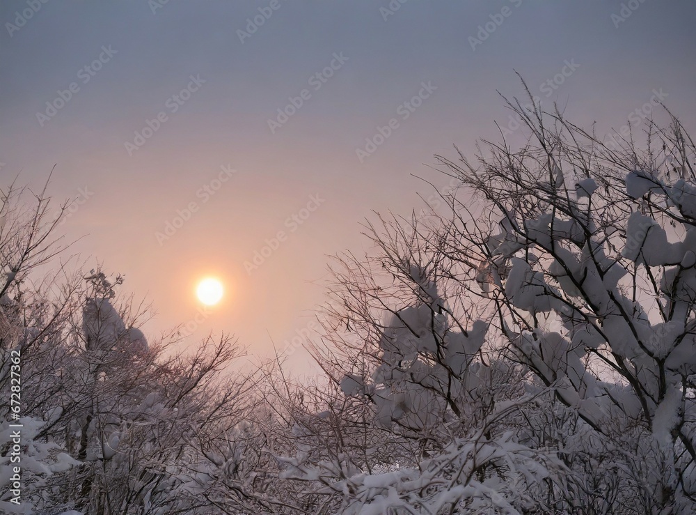 Sticker Snowy forest in winter at golden sunset. Colorful landscape with pine trees in snow, orange sky in evening. Snowfall in woods. Wintry woodland. Snow covered mountain forest at dusk.