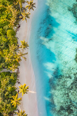 Fototapeta na wymiar Beach palm trees on tranquil sunny sandy beach and turquoise ocean from above. Amazing summer nature landscape. Stunning sunny serene beach relaxing peaceful and inspirational beach vacation template