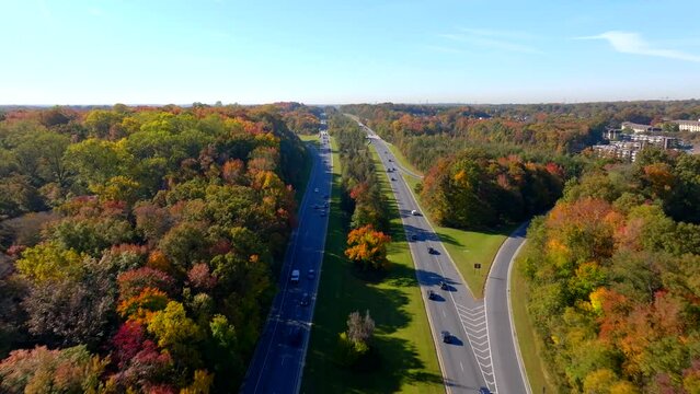 Stock video highways between woods fall foliage