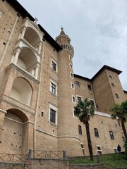 Urbino