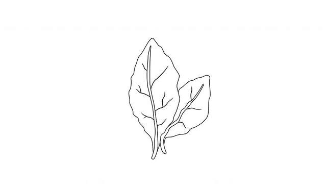 animated sketch of a tobacco leaf icon