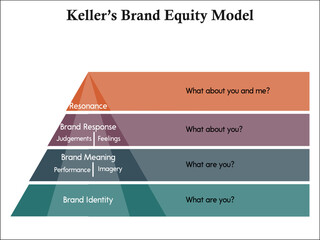 Brand Equity Model. Infographic template with icons