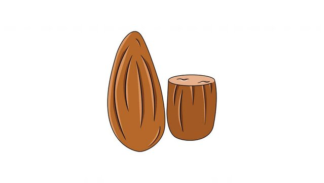 Animation forms an almond icon