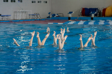 artistic performance in swimming pool, group of women doing synchrone moves in the water, legs...