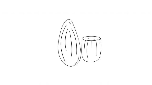 animated sketch of an almond icon