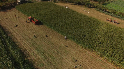 Obraz premium Aerial Photography of a farm tractors harvesting corn from a field, bright sunny day