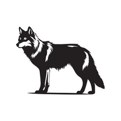 Wolf vector illustration, Image and Design