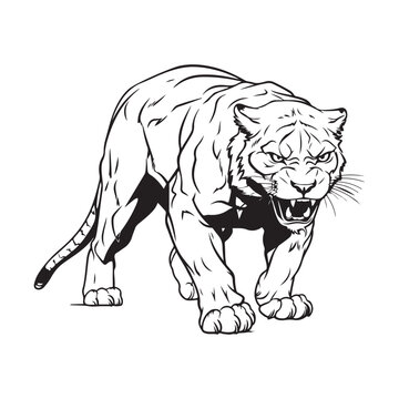 Panther Illustration Vector 