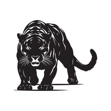 Panther Illustration Vector 