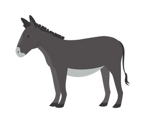 Donkey animal, vector illustration Standing. Side view. Flat illustration. farming, agricultural species 