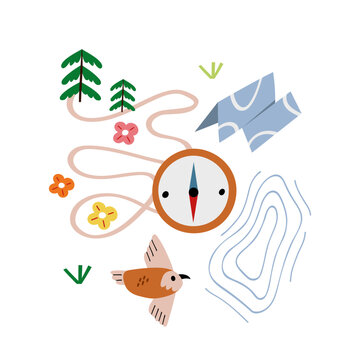 Vector illustration with compass, forest paths and fir trees.
