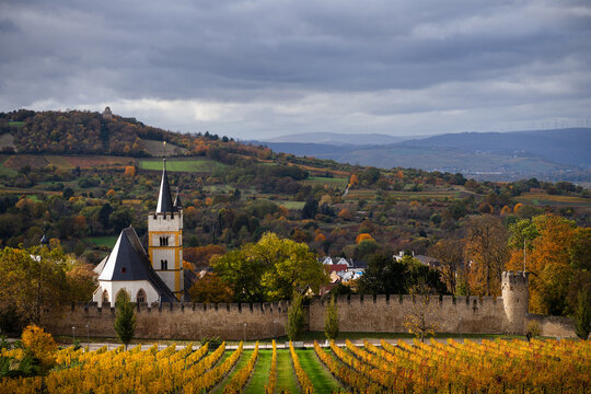 Blick &uuml;ber herbstliche Weinberge und die Burgkirche von Ingelheim im Oktober 2023