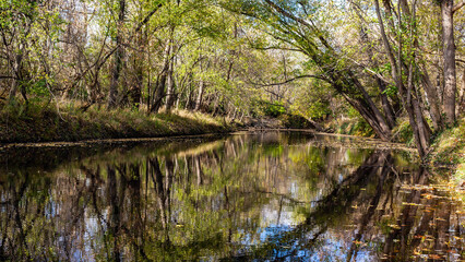 Scenic view of Calumet Creek near Clarksville, Missouri with surrounding landscape reflected in its waters