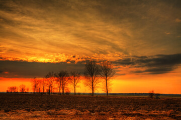 Landscape sundown in river valley, Poland Europe, amazing red sky and trees autumn time Poland Europe