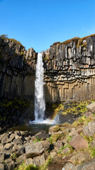 svartifoss in iceland