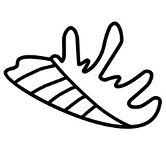 seashell line icon