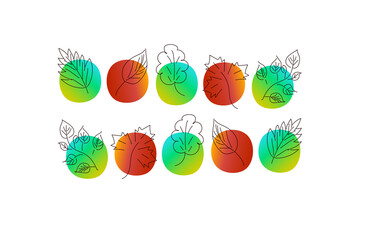 set of leaves on a multi-colored background