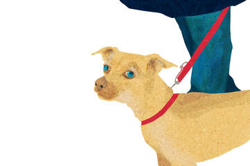 Ilustracja mały drobny pies czerwona smycz.