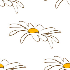 Beautiful yellow and white combination flower with petals isolated is in Seamless pattern - vector illustration