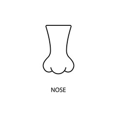 Nose concept line icon. Simple element illustration. Nose concept outline symbol design.