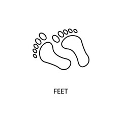 Human feet concept line icon. Simple element illustration.Human feet concept outline symbol design.
