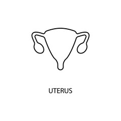 Obraz premium Uterus concept line icon. Simple element illustration. Uterus concept outline symbol design.