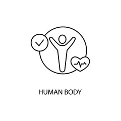 Human Anatomy concept line icon. Simple element illustration. Human Anatomy concept outline symbol design.
