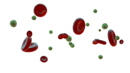 Coronavirus banner showing virus molecules in amongst red blood cells in the bloodstream on transparent background