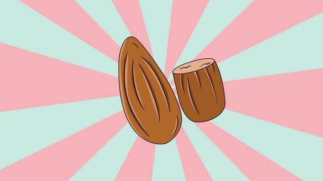 Animated almond icon with a rotating background