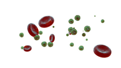 Coronavirus banner showing virus molecules in amongst red blood cells in the bloodstream on transparent background