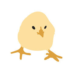 Chick