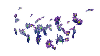 Wilting falling flowers. Dried dying petals