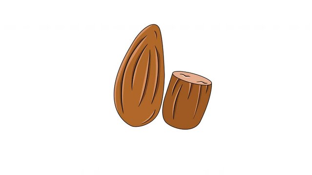 animated video of the almond icon