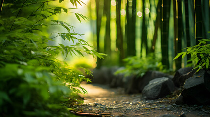 A photo of the Arashiyama Bamboo Grove, with towering green bamboo stalks as the background, during...